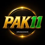 PAK11 Game